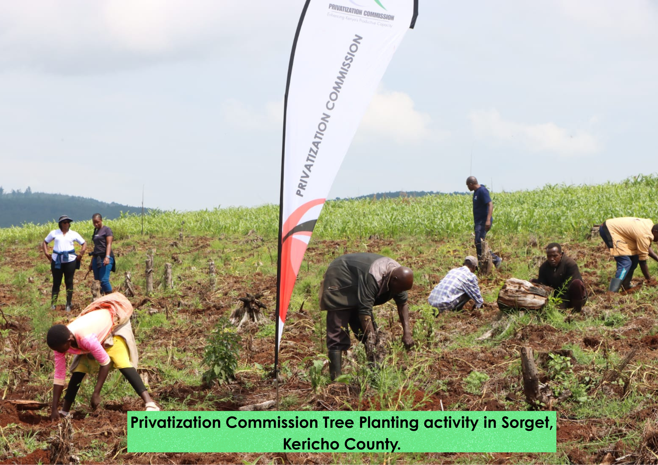 CSR Activity in Sorget Forest, Kericho County.